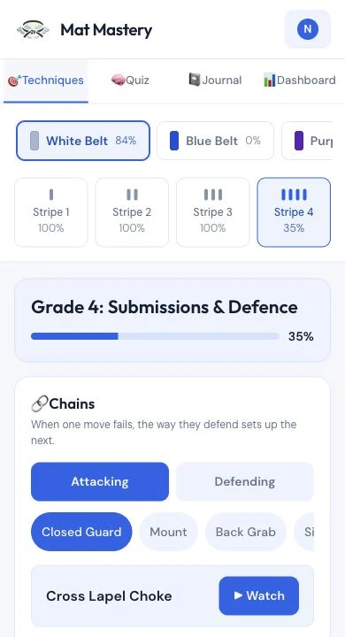 Mat Mastery techniques screen